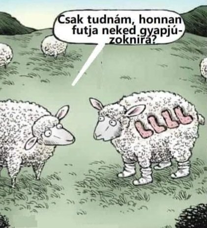 Andikat 3️⃣3️⃣ 🧸 tweet media