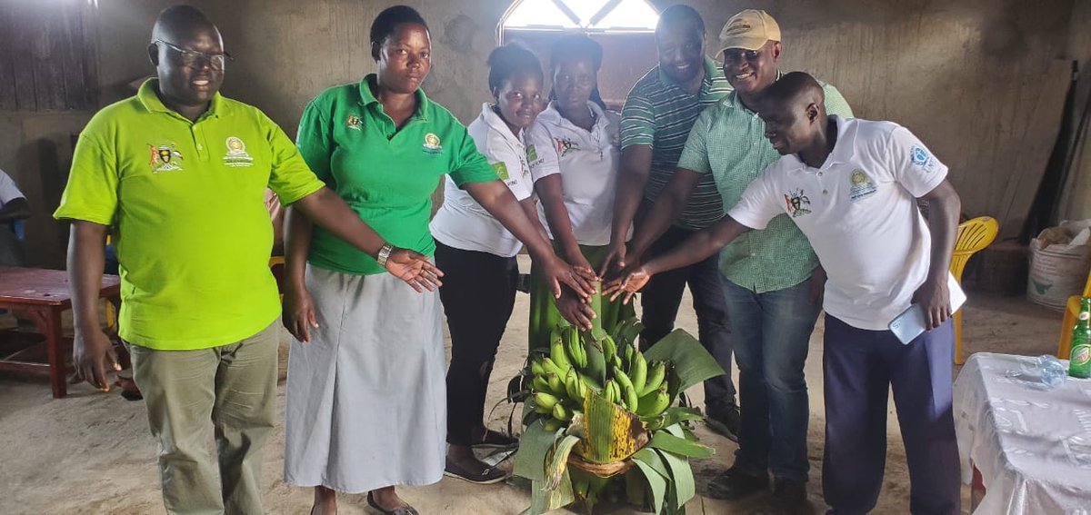BOGEREMUZAMIRU's tweet photo. Enhancing climate resilience through People centered approach in Climate change adaptation

Rwobushumi Women's Group in in  Mubende District  established 3 acres of banana suckers and have so far sold off 10 bunches at a cost of 300,000/= @OPMUganda, @UNEP,@adaptationfund https://t.co/WWO4O4xPVj