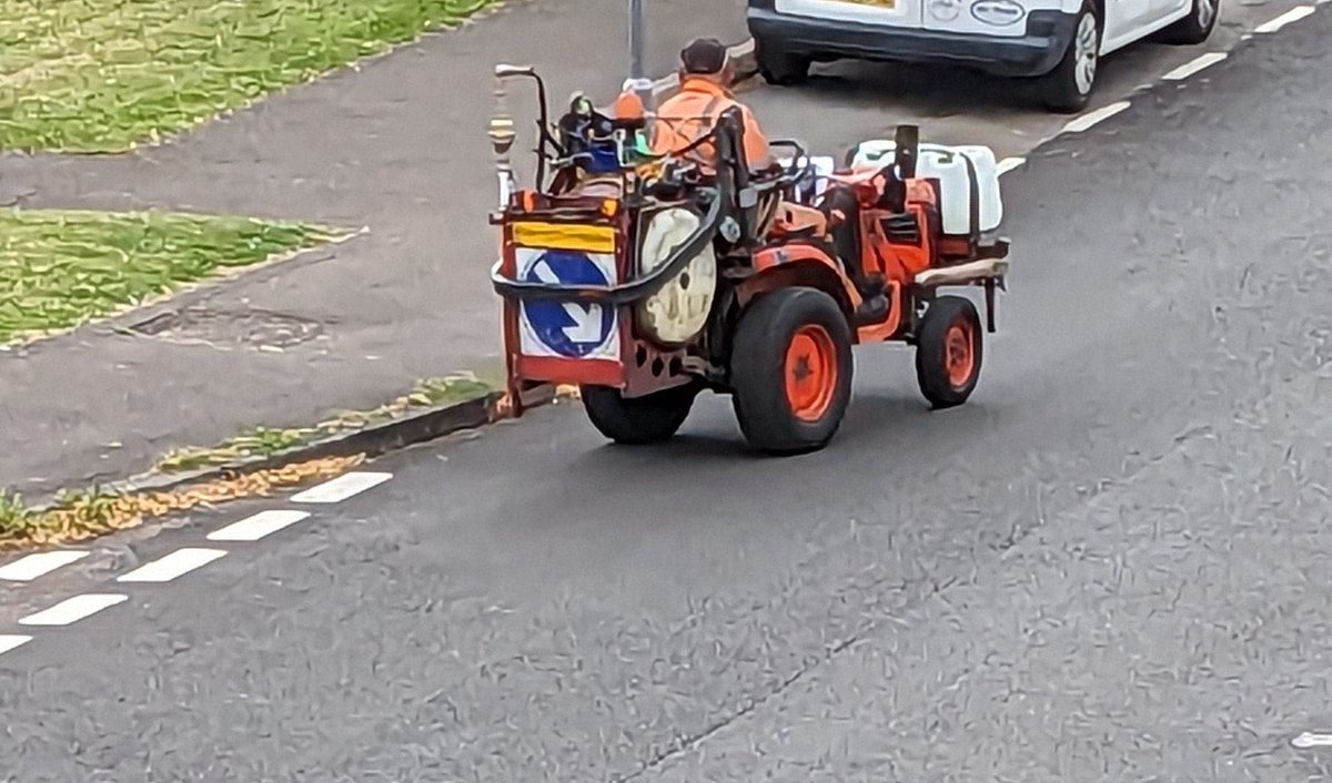 ReigateRabbit tweet media