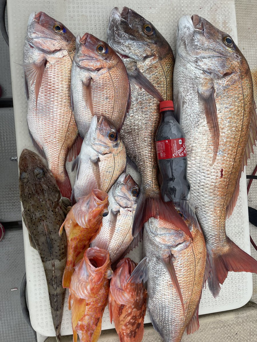fishing02130's tweet photo. タイラバ釣行🐟 https://t.co/FRyvHHXV7j