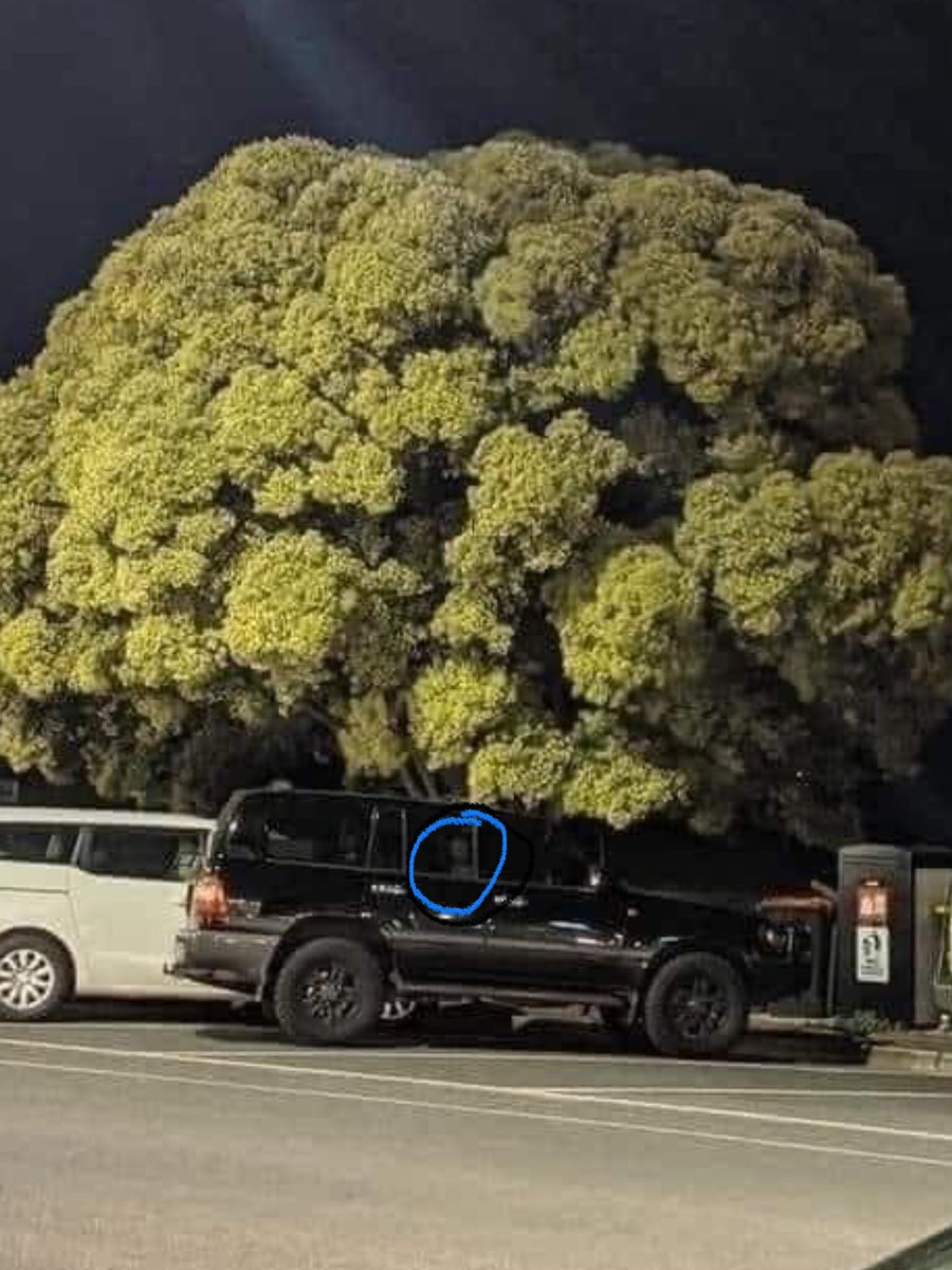 aleexxgm08 tweet media