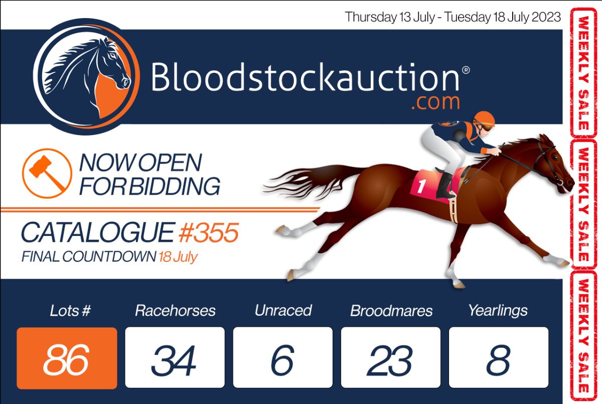 🏇 Catalogue #355 is Now Live! - mailchi.mp/bloodstockauct… To view the auction catalogue click here: bit.ly/3MBr9ql If you have any questions, or wish to purchase or sell a thoroughbred; please feel free to call our friendly team on 1300 849 349 ☎️