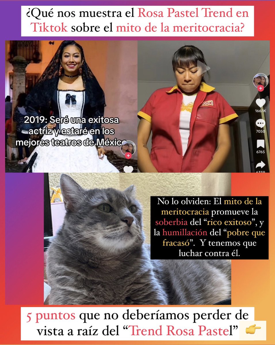 GatitosVsDesig's tweet image. Miau. ¿Qué nos muestra el Trend Rosa Pastel en Tiktok sobre el mito de la meritocracia?

Antes que nada, no lo olviden: El mito de la meritocracia promueve la soberbia del “rico exitoso”, y la humillación del “pobre que fracasó”.  Y tenemos que luchar contra él.