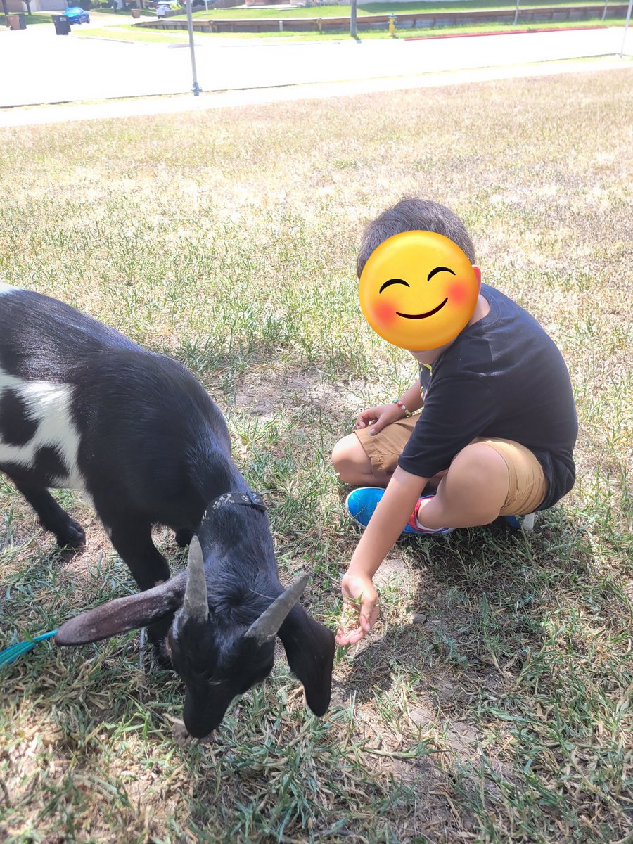 Corinna Longoria, M.Ed. tweet media