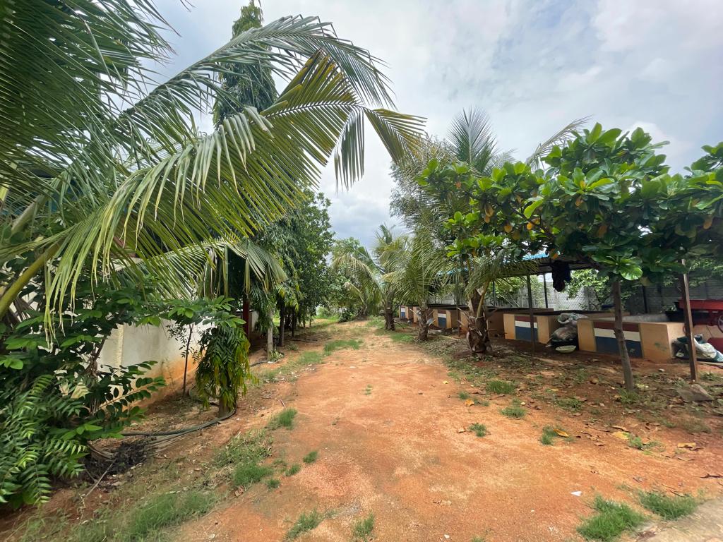 Telangana Forest Dept. tweet media