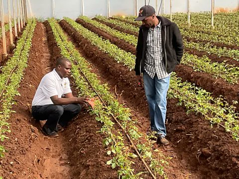 Training Day
Syngenta is committed to the safety of farm workers and trains over 1,000 workers in the ornamental sector every year.
More here > buff.ly/3NRJxvX