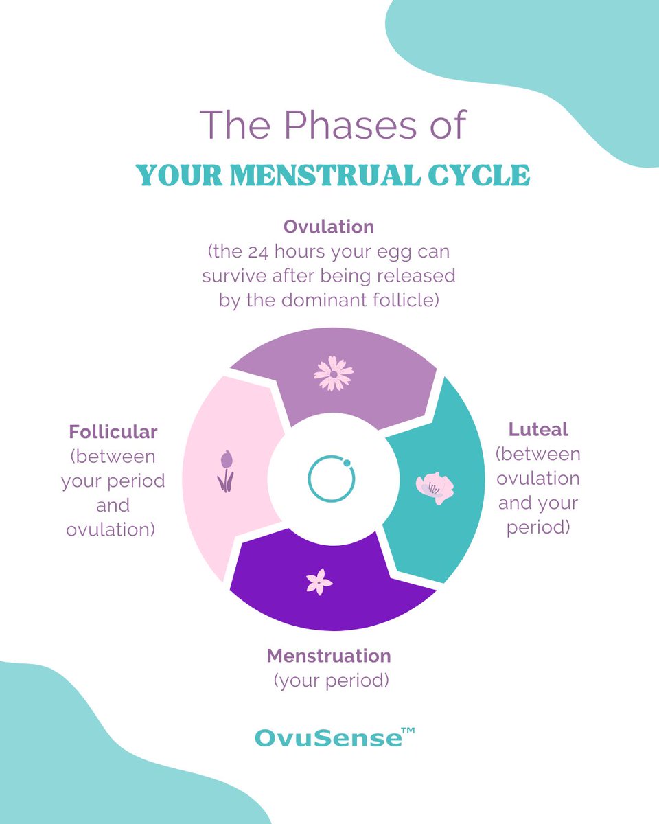 🌀Understanding your menstrual cycle is important, whether or not you’re #TTC 🌀

Our latest blog explains misconceptions about the #menstrual cycle and #fertile window to give you more control over your body! 

ed.gr/eflek

#ovusense #ovucore #menstrualcycle #ttc