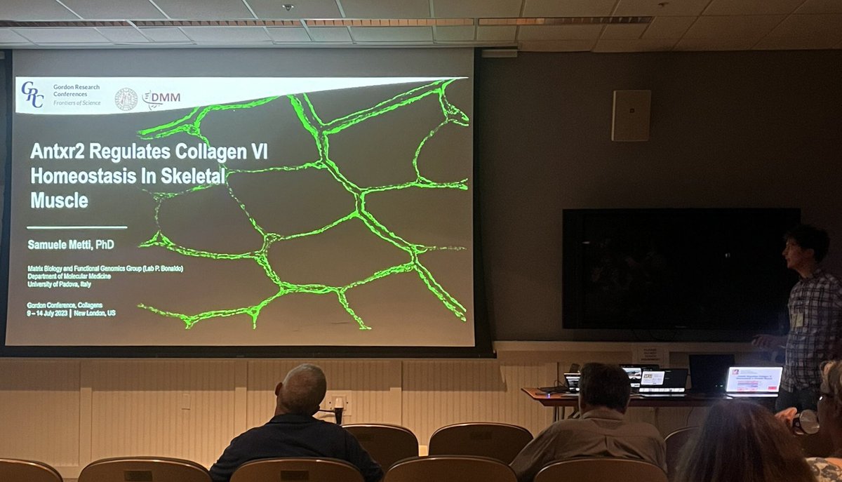 Samuele Metti tweet media