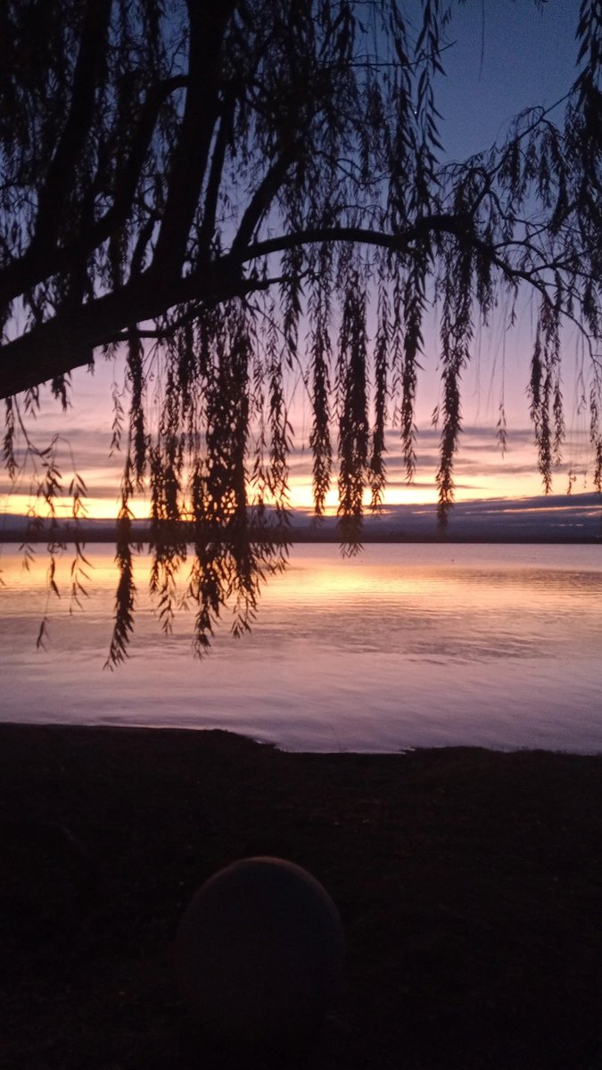 Quien mas vive en el Paraíso? Que afortunados que somos ❤️