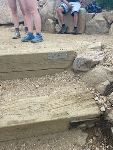 Joan DeLuca tweet media