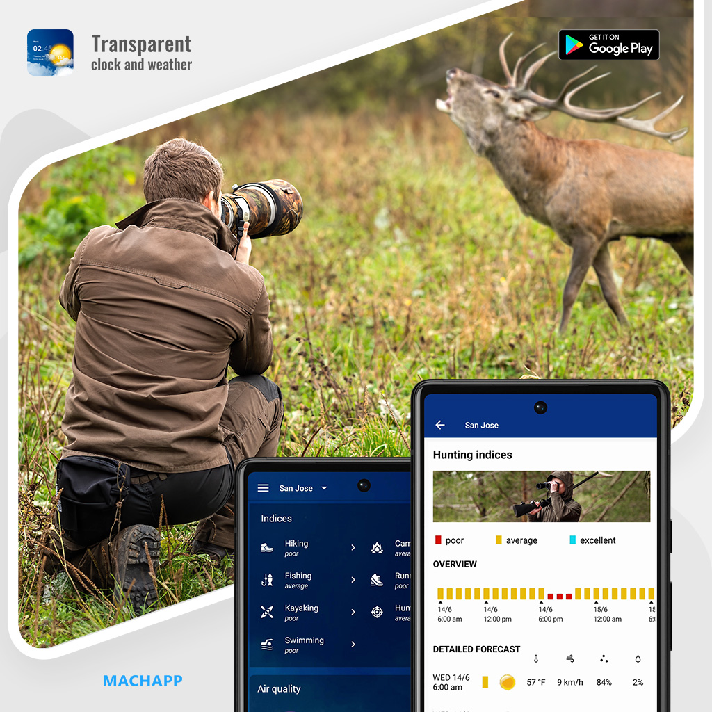 machappsoftware's tweet photo. Unlock the magic of capturing stunning shots by knowing the ideal lighting, weather, and natural conditions. From golden hour landscapes to wildlife encounters, our app guides you to frame the most captivating moments in nature!

Get it on Google Play at https://t.co/3aSUNFz59h https://t.co/hAC5sM1XUy