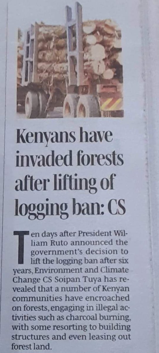 "We, the Friends of The Mau Forest and indigenous communities implore the government of Kenya to stop the initiative to introduce logging into our remaining forests"
#Climatejustice
#RestoreMauForest