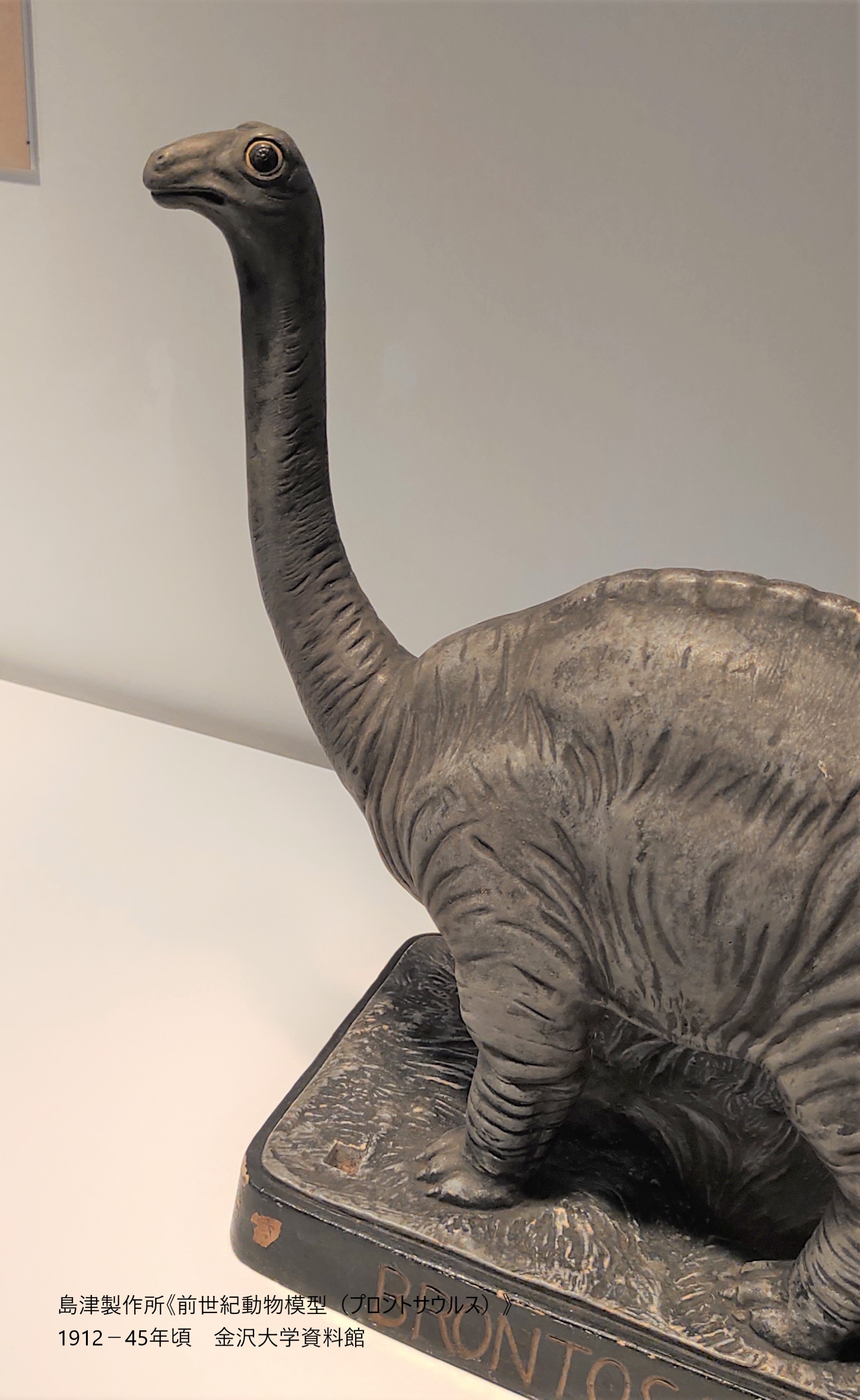 公式】特別展「恐竜図鑑－失われた世界の想像／創造