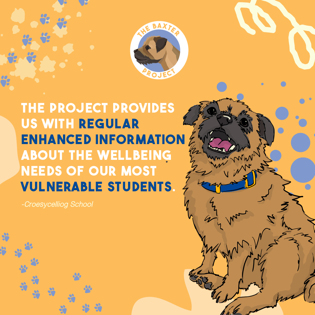 Baxter_Project's tweet photo. We're grateful to @croesyschool for choosing the Baxter Project as part of their wellbeing provision and for their support of our team of friendly dogs and wellbeing practitioners. Thank you! #edtwitter #edutweet #educhat #JoinOurPack https://t.co/brRdWXjNa1