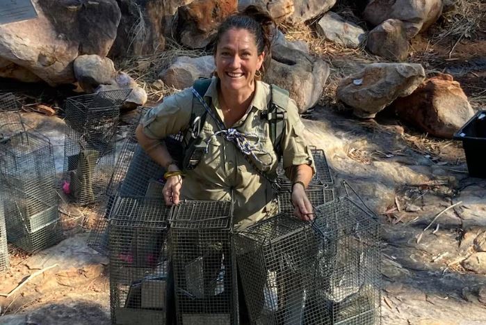 The Wilinggin Aboriginal Corporation's Darran.gu Wulagura women's ranger group is working to keep the endangered #GoldenBandicoot species alive by helping with its translocation from the Kimberley to a reserve in Central Australia. 🙌🏾 

👉🏾 ow.ly/SSIB50Pbibg.