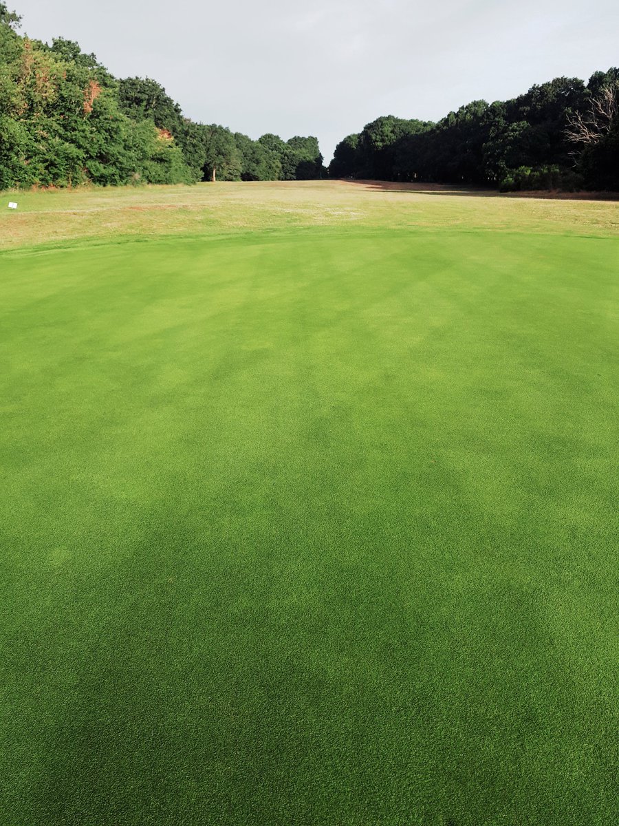 Cambell Murdoch tweet media