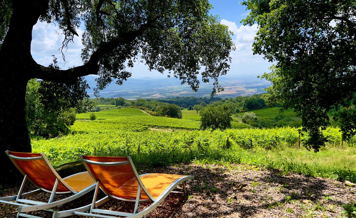 @ValdonicaView #breathtakingviews #valdonica #maremma #toscana #naturalwines #naturalwinelover #tellerschubser #franknwein #vinummagazin  #winetour #instawine #tuscany #visittuscany #organicwine #organicwinery #vermentino #sangiovese #wineenthusiast #winetravel #robertparker