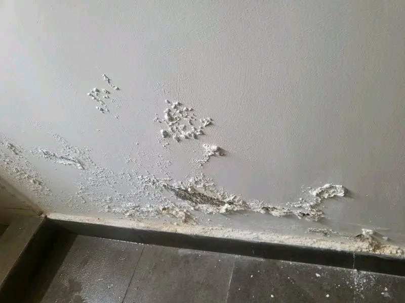Bossyator's tweet image. RISING DAMP
 
Its a common form of damp invading walls in buildings occurring when moisture is soaked up from the ground &amp;amp; gradually travels up the wall. It follows the principle we were taught referred to as capillary action, the tiny channels in the bricks serve as capillaries.