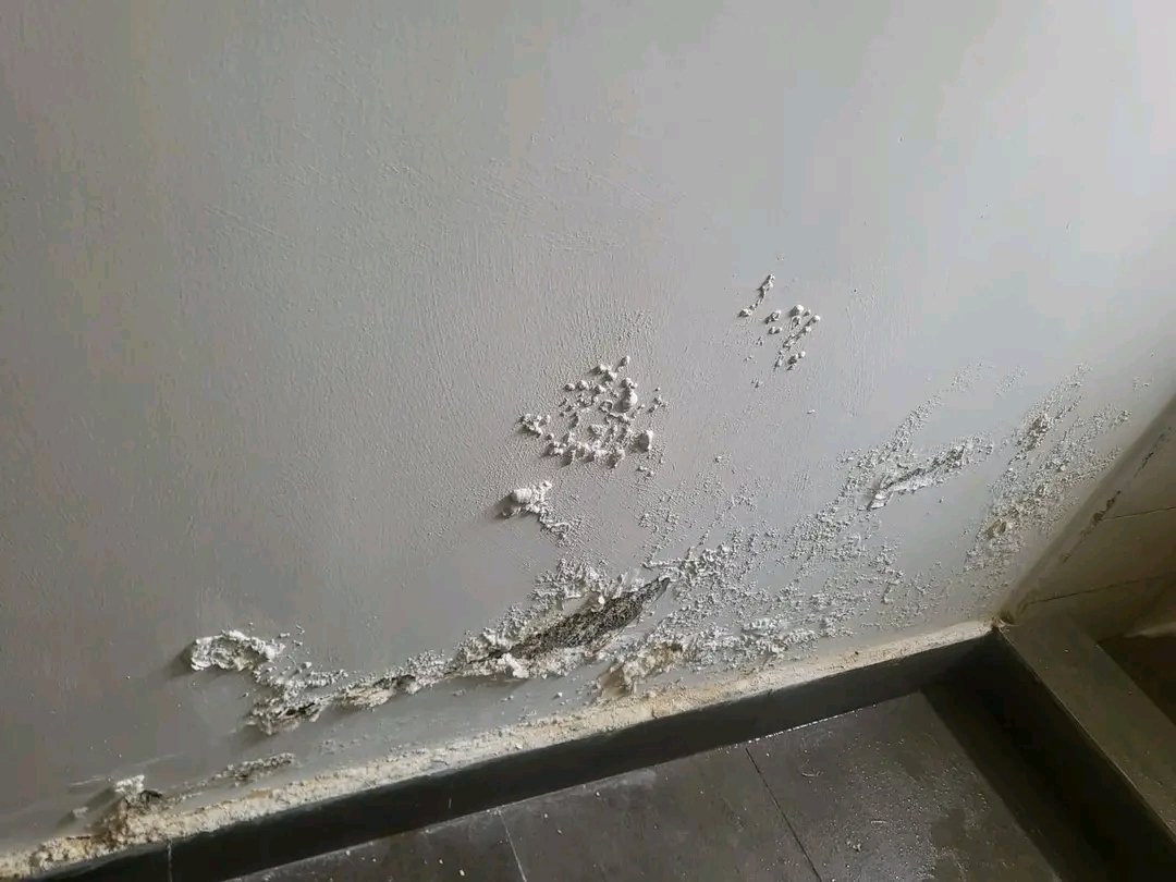 Bossyator's tweet image. RISING DAMP
 
Its a common form of damp invading walls in buildings occurring when moisture is soaked up from the ground &amp;amp; gradually travels up the wall. It follows the principle we were taught referred to as capillary action, the tiny channels in the bricks serve as capillaries.