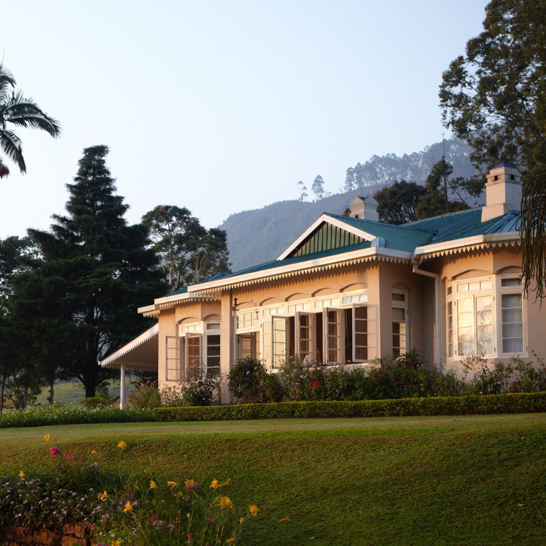 Resplendent Ceylon tweet media