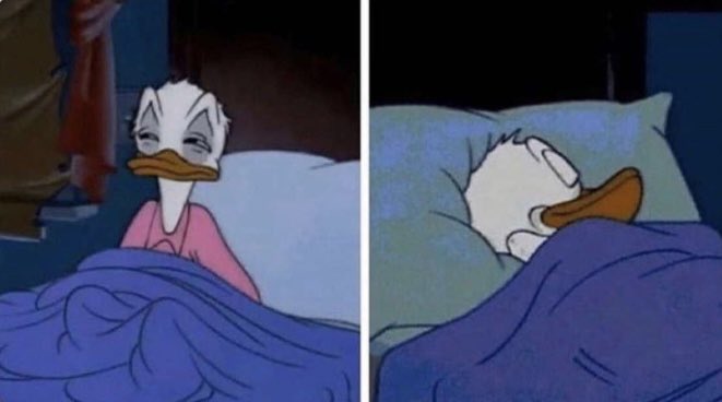 𝕮𝖍𝖊𝖊𝖉𝖔𝖊 亗 tweet media