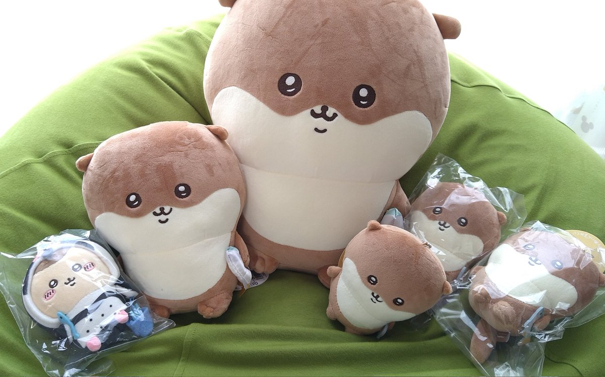 gluttony_0703's tweet photo. ピャーァァァーヒィーィイ！！
カワイイーッ！！オファッ！！ https://t.co/8QOUip6LXH
