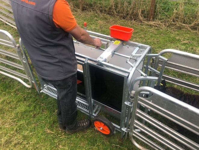 ritchieAgri's tweet image. Morning weighing made easy with the DraftPro and TruTest unit.

Find out more here: ow.ly/YBxS50P7pxt

#RitchieAgri #DraftPro #SheepFarming