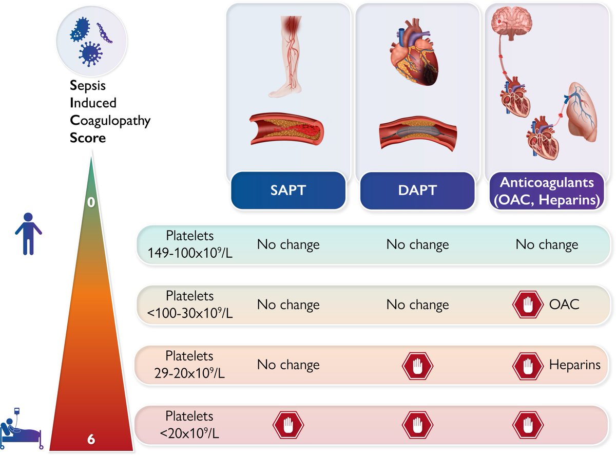EHJ Editor-in-Chief tweet media