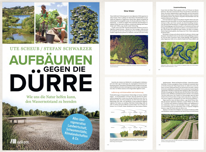 permakulturBlog's tweet photo. Unser Buch "Aufbäumen gegen die Dürre" in den Rezensionen
Unser Buch "Aufbäumen gegen die Dürre"  ist nun seit gut einem Monat auf dem Markt.

https://t.co/pK7GYEgrd8 https://t.co/f7R0Lyf1ig
