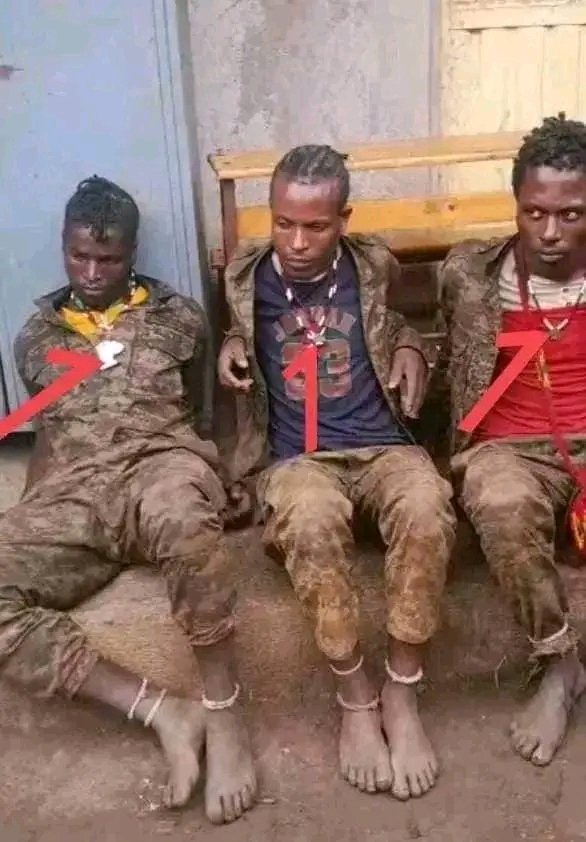 MesfinEndalk's tweet photo. የመከላከያ ልብስን በማልበስ ገዳዩ አብይ አህመድ #አማራ ክልል ገብተው #የአማራን ህዝብ እንዲጨፈጭፉ የተላኩት #የጫካ ወይዘሮወች በጀግናው ❤ፋኖ❤ ተማርከው እያለቀሱ ነው።
ሽንታም #ጋላ ሁላ!!!!! የእጅህን ታገኛለህ!!! https://t.co/eR3gKjGQUY