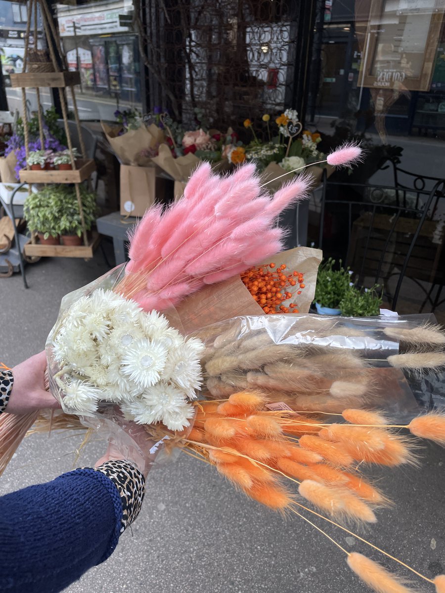 Vinetta Flower Gallery tweet media