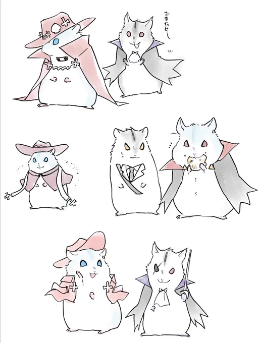 これうぷったっけ?=^・ω・^=