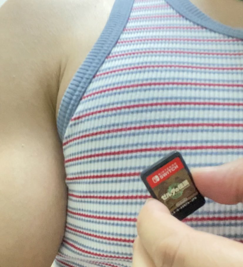 何年振りかにゲーム買いました！
ゼルダティア楽しみます！！！