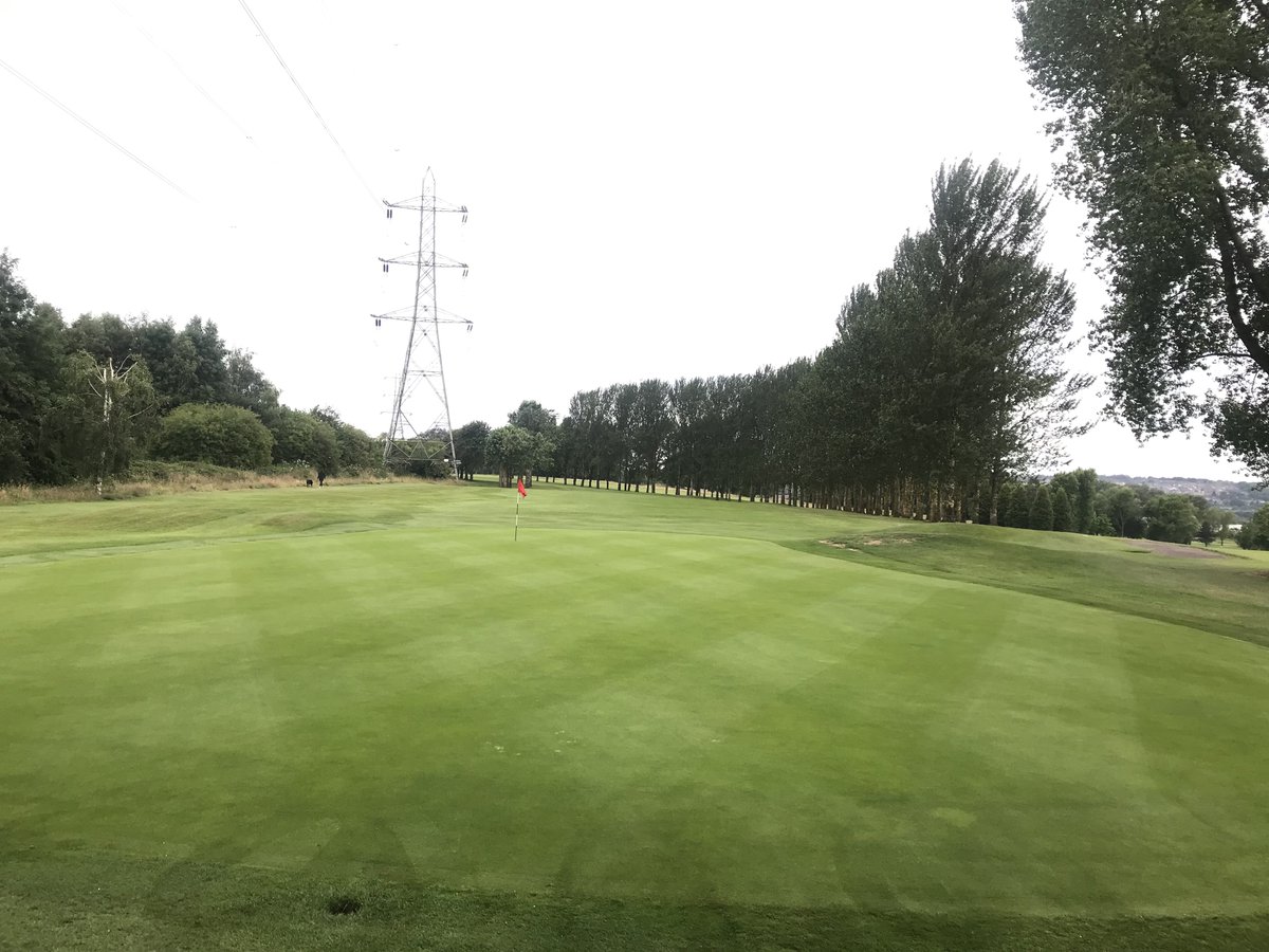 marks_sm1th's tweet photo. Amazing how many bents have come through or spread there legs in these greens and started before this years seeding program. Just a few agronomic changes like, lower N, higher blades, more rolling, No coring, the addition of fungal C/teas and data use. #turflife #cheapertoo 💪 https://t.co/8mV1BMSEyS