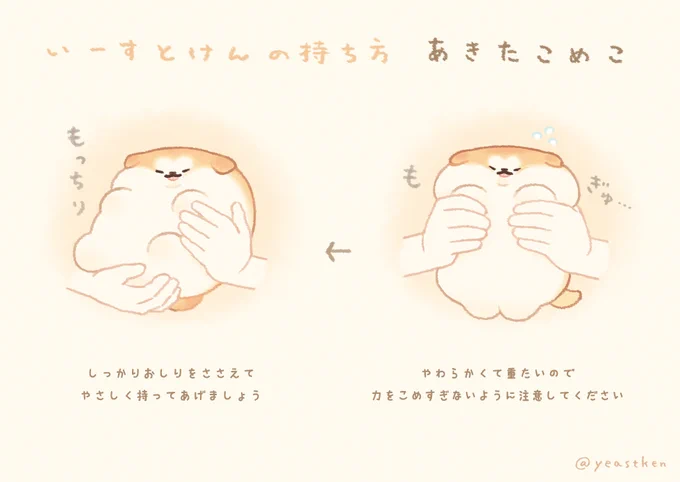 あきたこめこの持ち方🤲