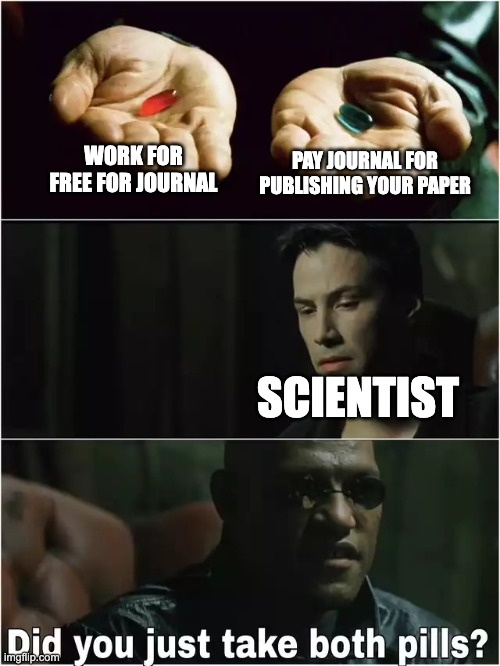 Academic publishing