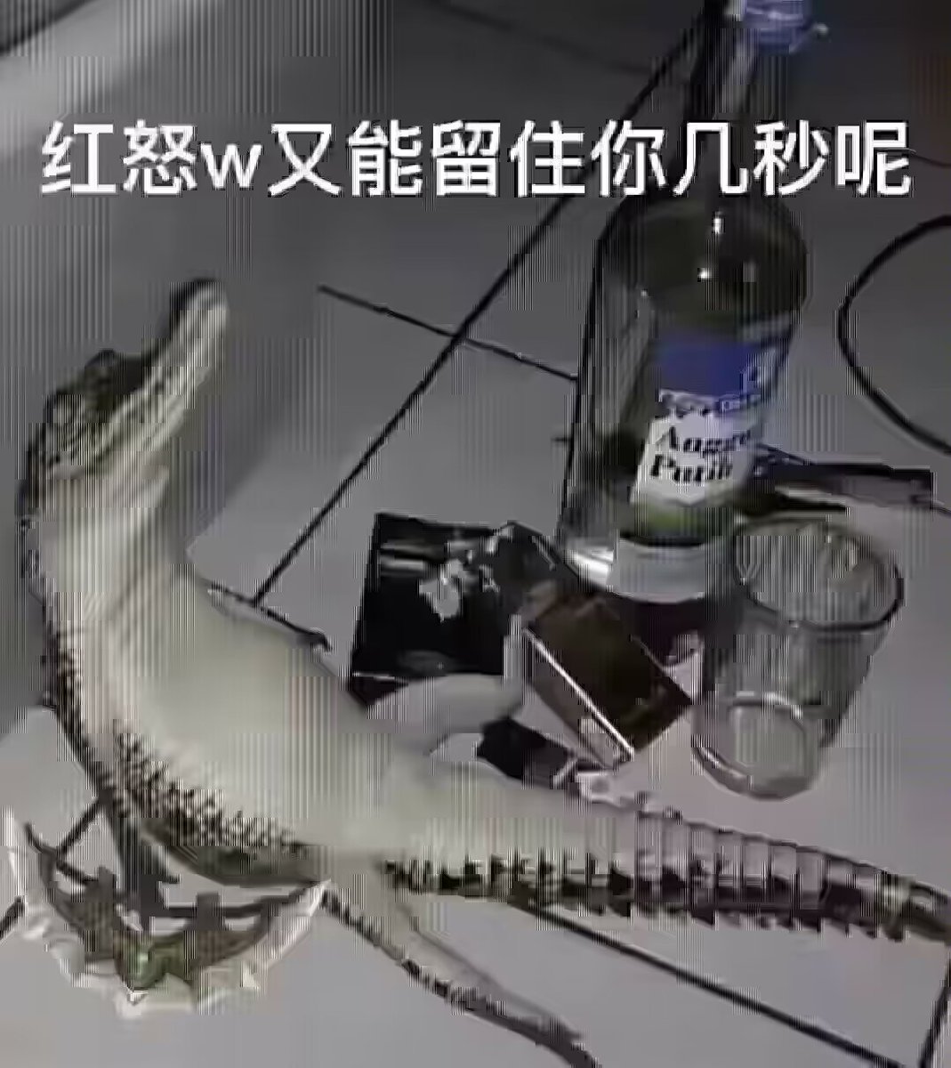 这次bw的抢票是我这辈子体验最差的抢票了，你妈了个逼b站你tmd不会办展就不要办，票几把贵的离谱还几把少。网站一开票就被脚本黄牛挤爆，就不能搞个排队系统就纯tmd靠挤。现在闲鱼一堆dinner抢了票宁可快递身份证也要当黄牛。我TMD真的服了，b站快几把倒闭罢。老子去aexpo不比这个傻逼展好？ https://t.co/u7rPlvuvbi