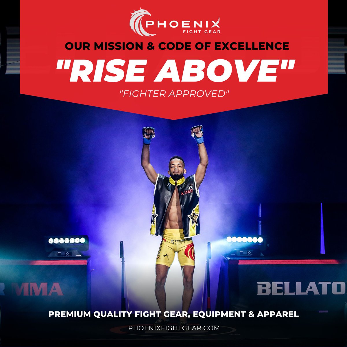 PFGriseabove's tweet photo. "Rise Above" with Phoenix Fight Gear! Shop now:  https://t.co/YKWZnvUJvv

#mma #training #gear #ChampionsLeague https://t.co/QI9Z3BheN4