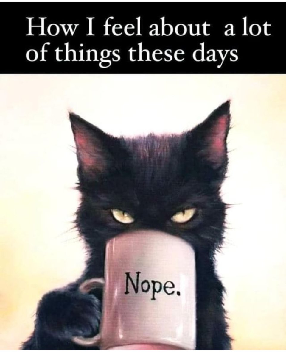 Michelle (@boohoo1972) on Twitter photo 