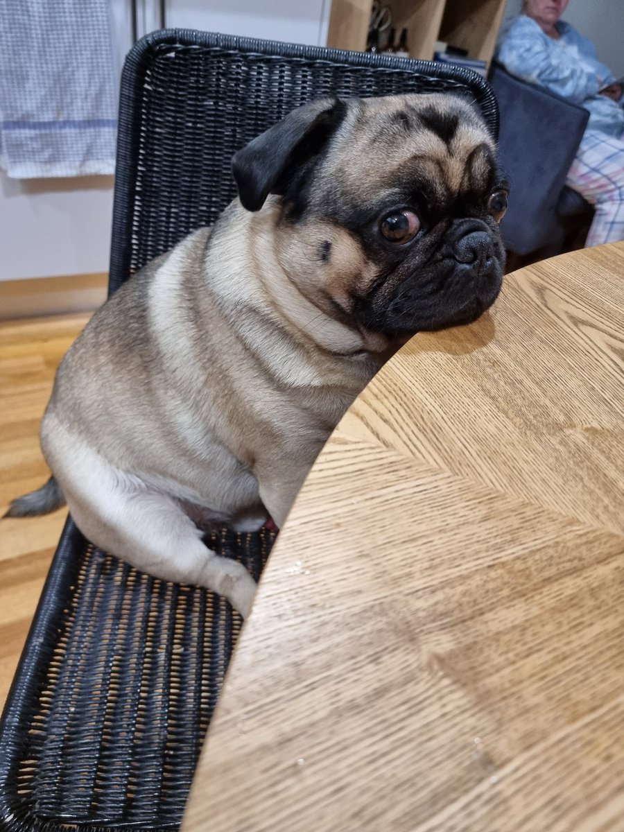 Michelle (@boohoo1972) on Twitter photo 