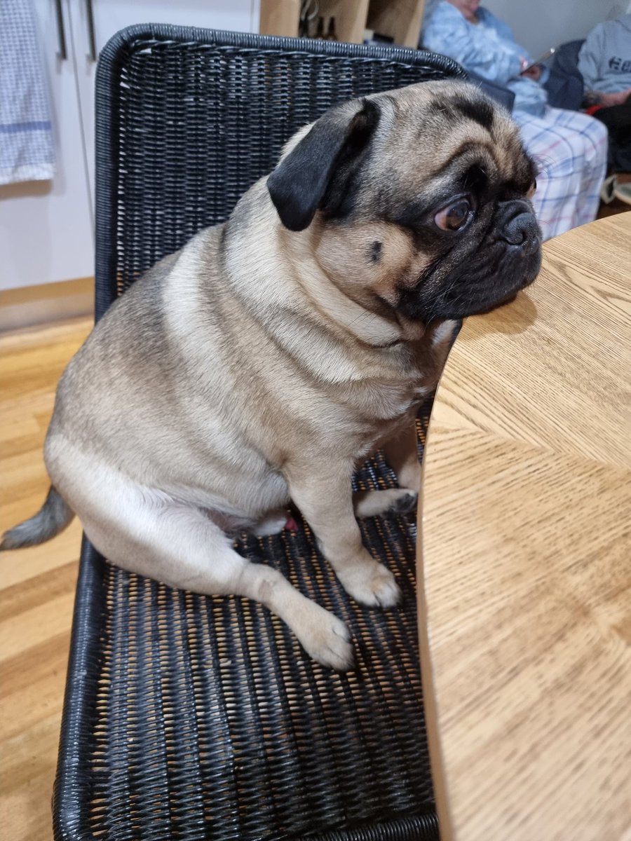 Michelle (@boohoo1972) on Twitter photo 