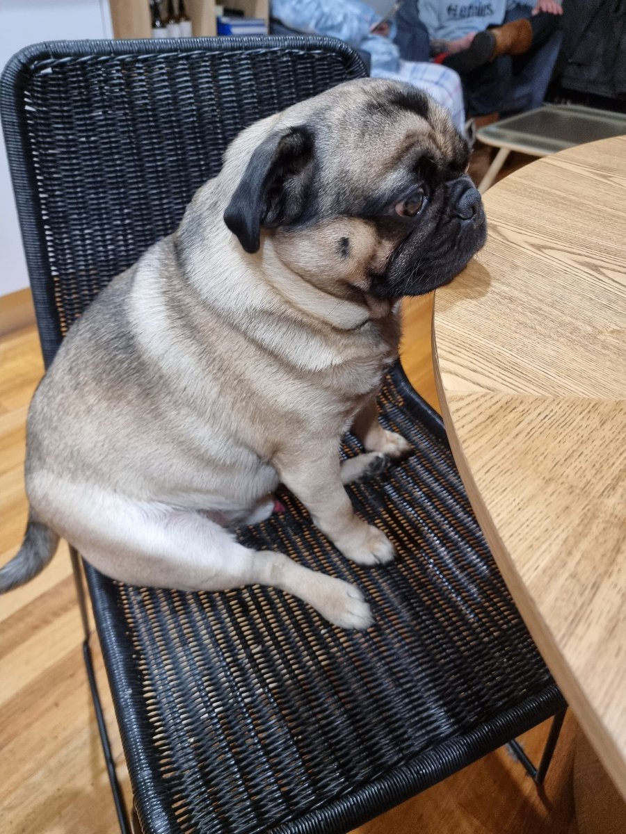 Michelle (@boohoo1972) on Twitter photo 