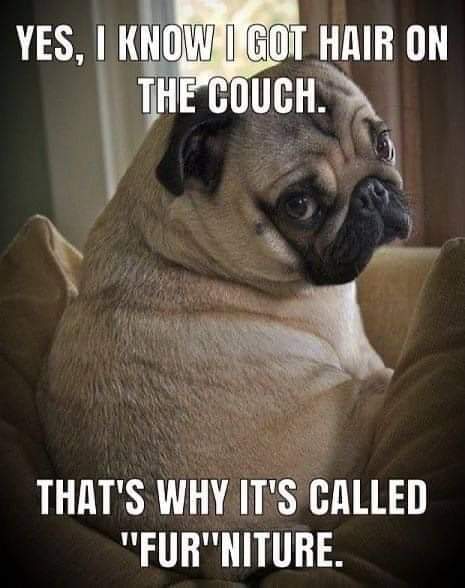 Michelle (@boohoo1972) on Twitter photo 