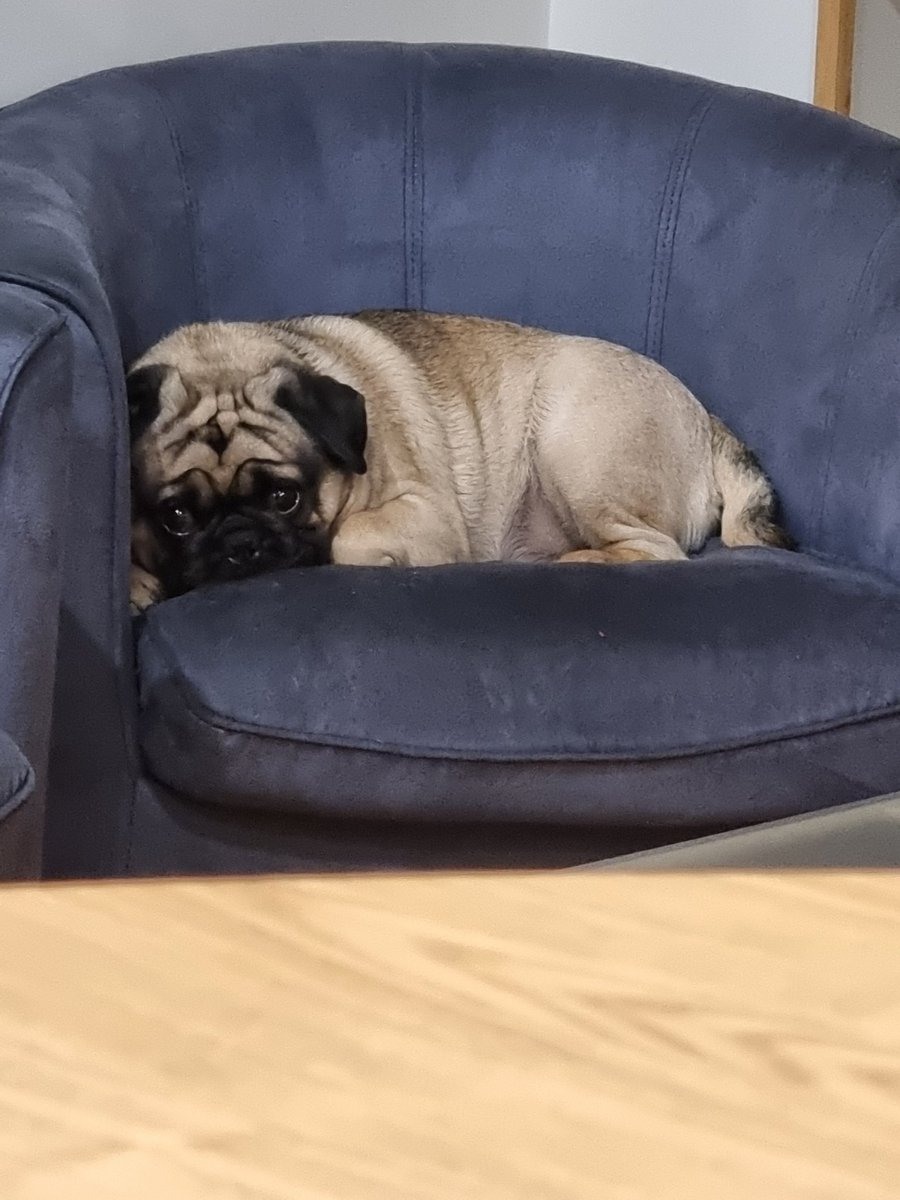 Michelle (@boohoo1972) on Twitter photo 