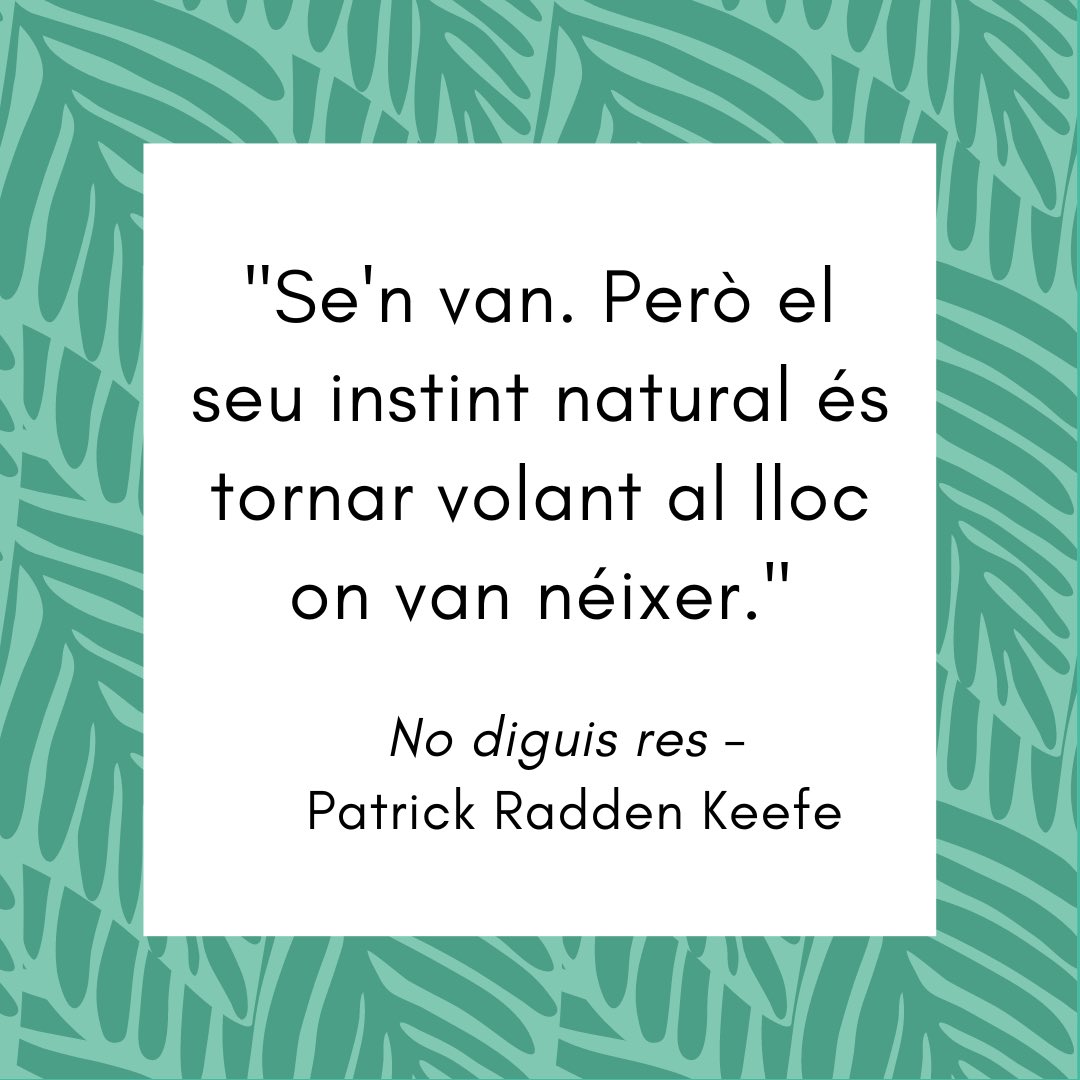 citesdellibres's tweet photo. "Se'n van. Però el seu instint natural és tornar volant al lloc on van néixer."

No diguis res de Patrick Radden Keefe.

Periscopi, 2020.

Traducció de Ricard Gil.

@patrickradden @Ed_Periscopi #nodiguisres #ricardgil #van #volar #tornar #cites #llibres #literatura https://t.co/aEqvQheRCl