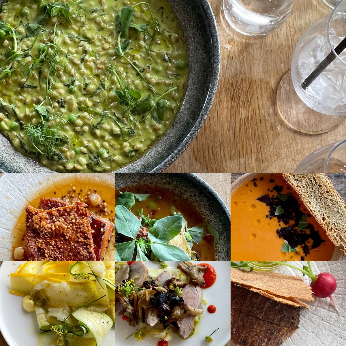 oenograph's tweet photo. Super delicious lunch at The Newt. Whilst the rain hammered down on the kitchen garden it didn’t distract from my fresh gazpacho, it was the weather for braised gem in chicken broth with a side of devilishly crackled pork belly.) https://t.co/LZM90DuMrK