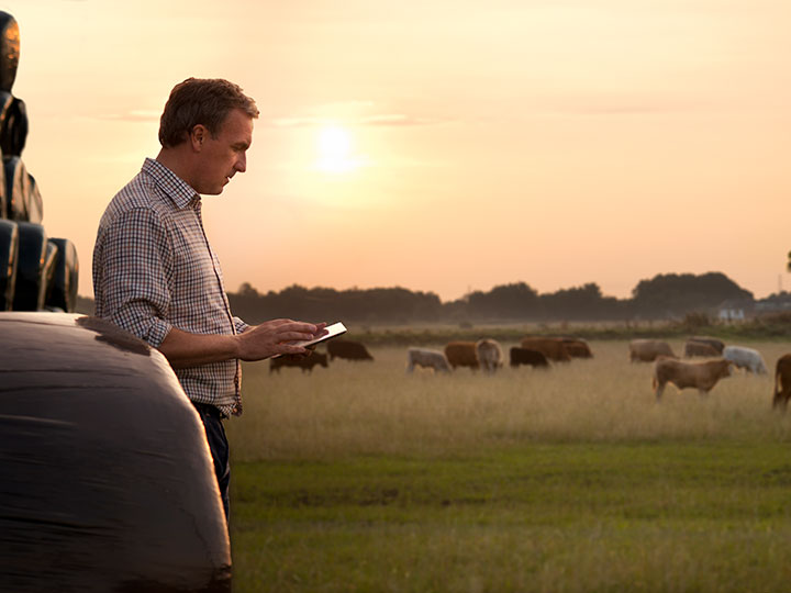 The Agribusiness Digital Solutions Grants Scheme offers co-contribution grants of up to $100K to support projects which result in the trialing/adoption of digital tech into supply chains within ag, fishery, or forestry industries in QLD @QRIDAmedia qrida.qld.gov.au/program/agribu…