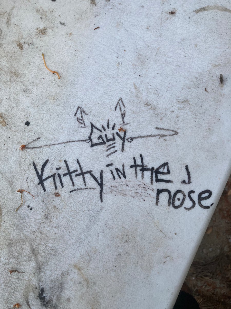 Titithegod's tweet image. 