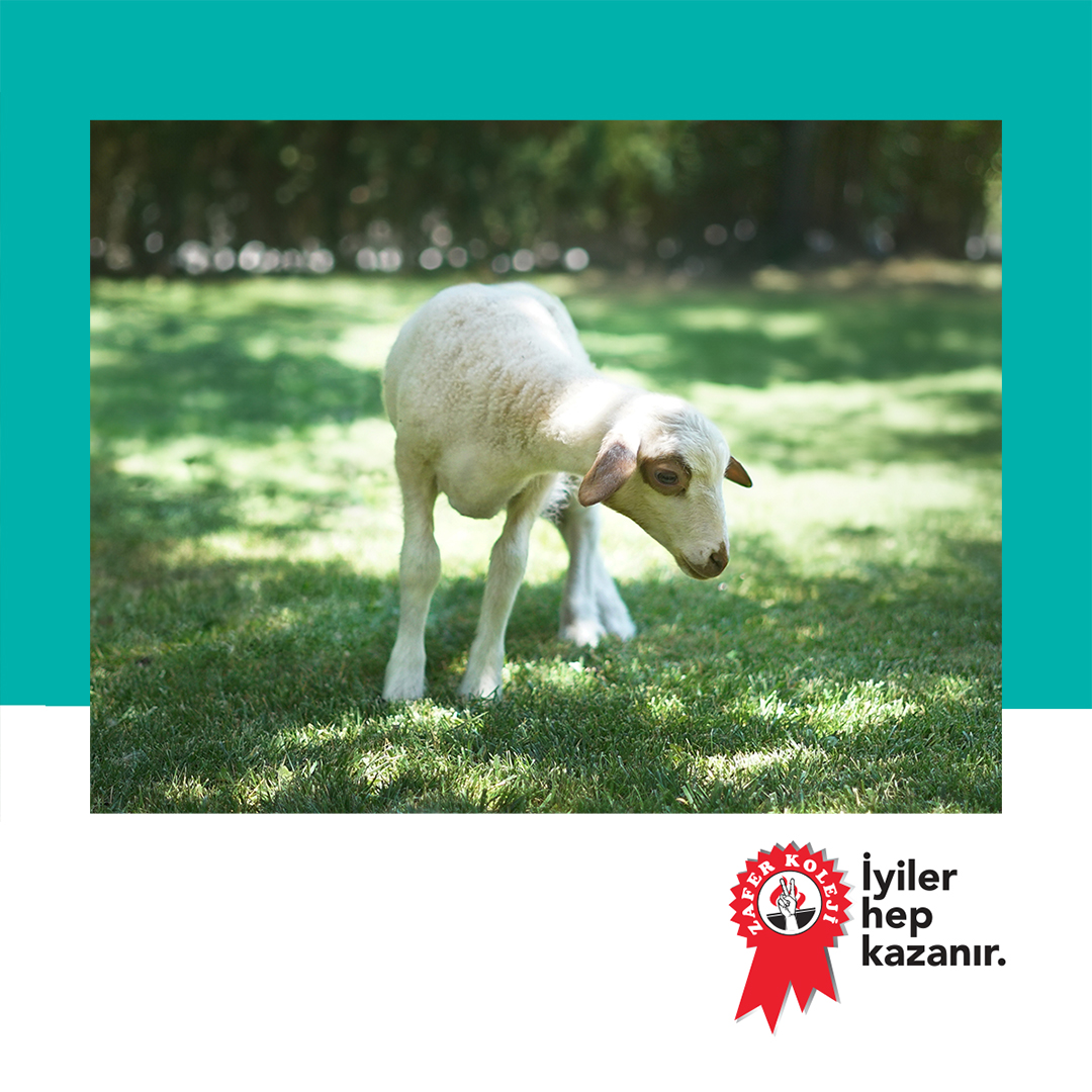 Aramıza hoş geldin kuzucuk! 

İçimizi ısıtan enerjinle ailemize sevgi ve mutluluk getirdin. 

Sen büyürken her zaman yanında olacak, birlikte güzel anılar biriktirecek ve seni hep çok seveceğiz!  🧿