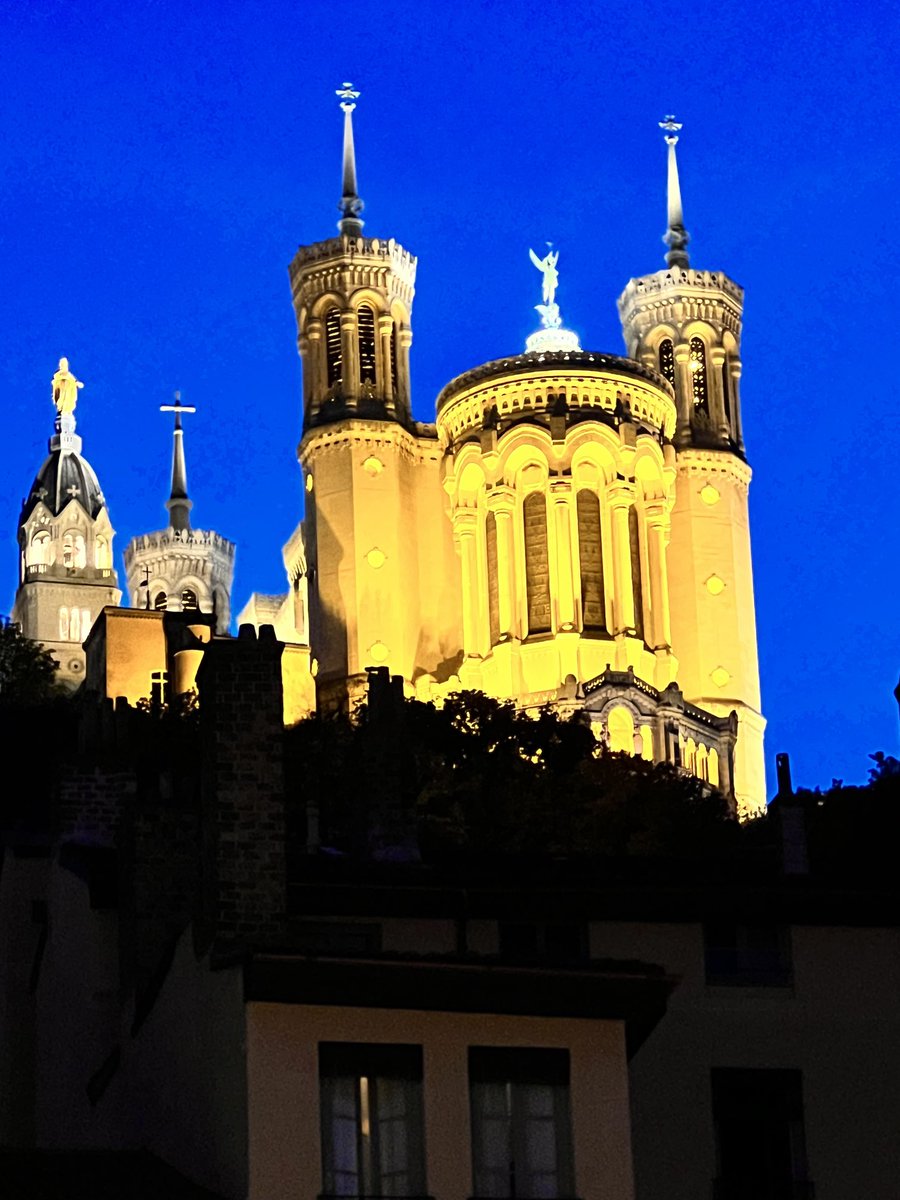 DrMoniqueLewis's tweet image. Au revoir, Lyon et #IAMCR2023